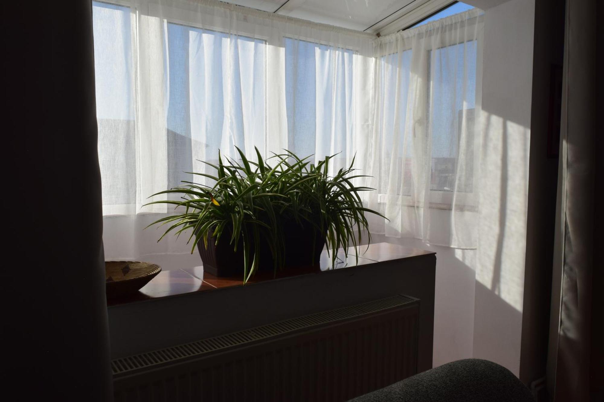 Apartament Simina Timişoara Exterior foto